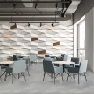 ANTICA GREY EQAC 036